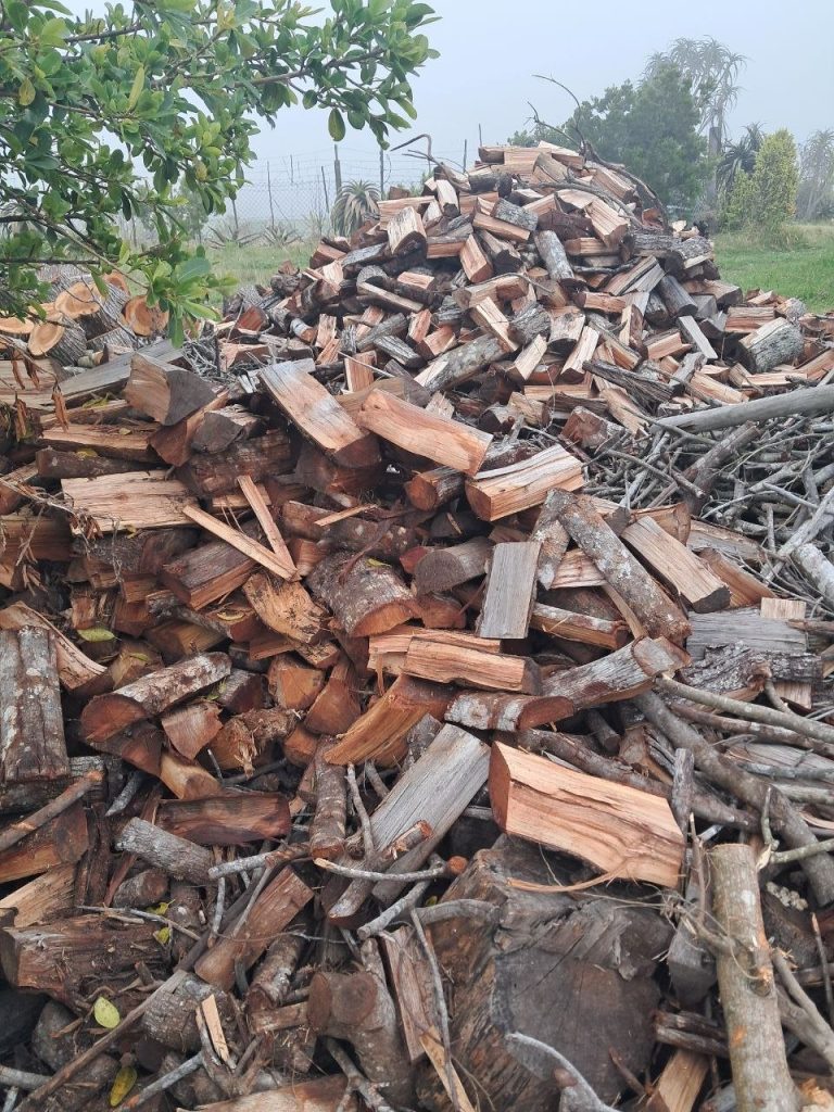 Pile of chopped black wattle braai wood with the Garden Route hills behind