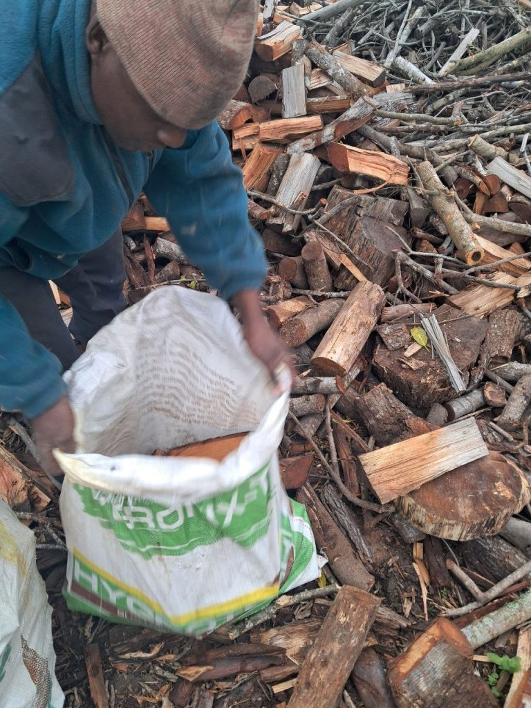 Filling a sack with dry black wattle braai wood at the BraaiWattle woodpile