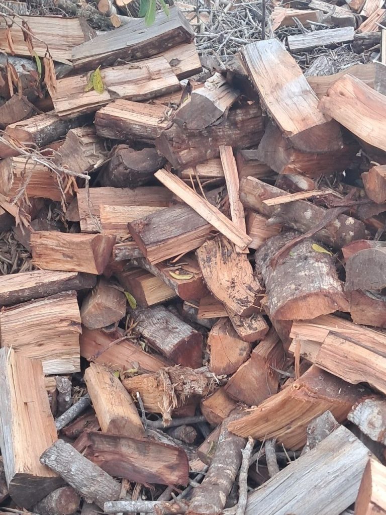 Close-up of dry split braai wood — seasoned black wattle ready to burn