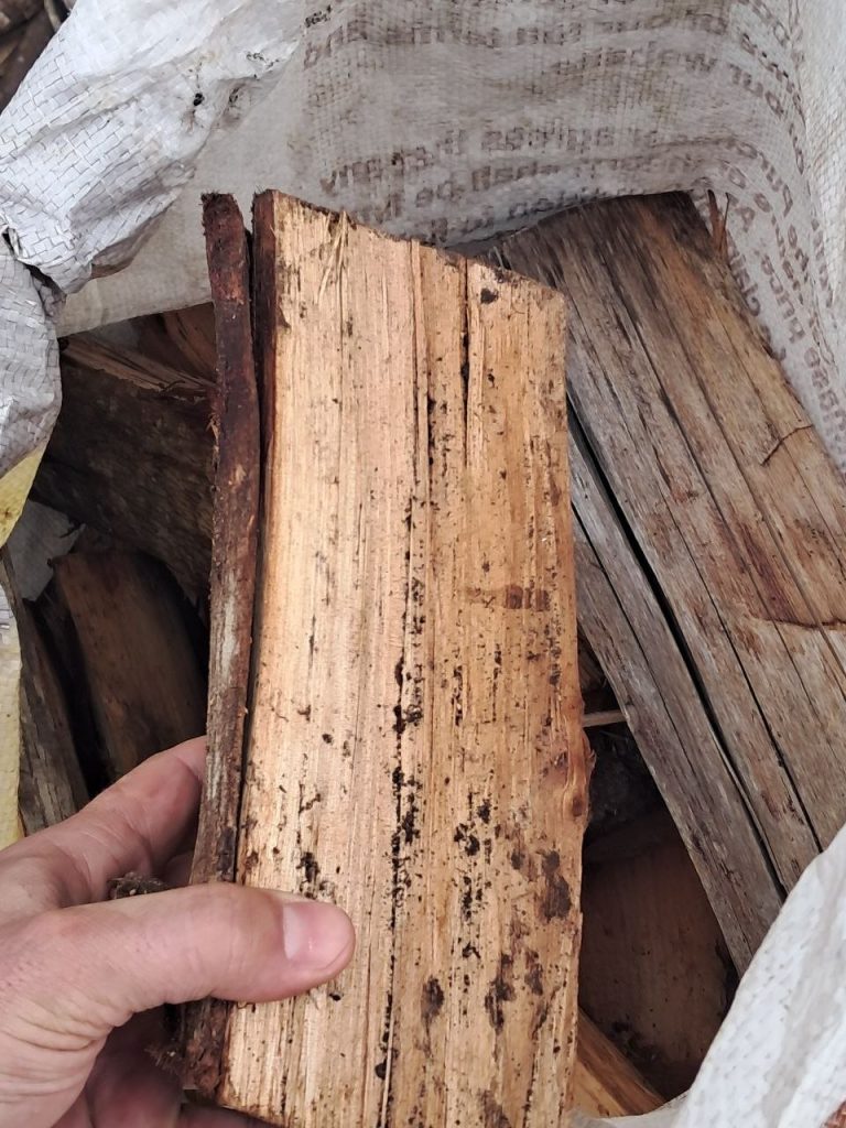 Close-up of a split wattle log held in hand — dry, seasoned braai wood