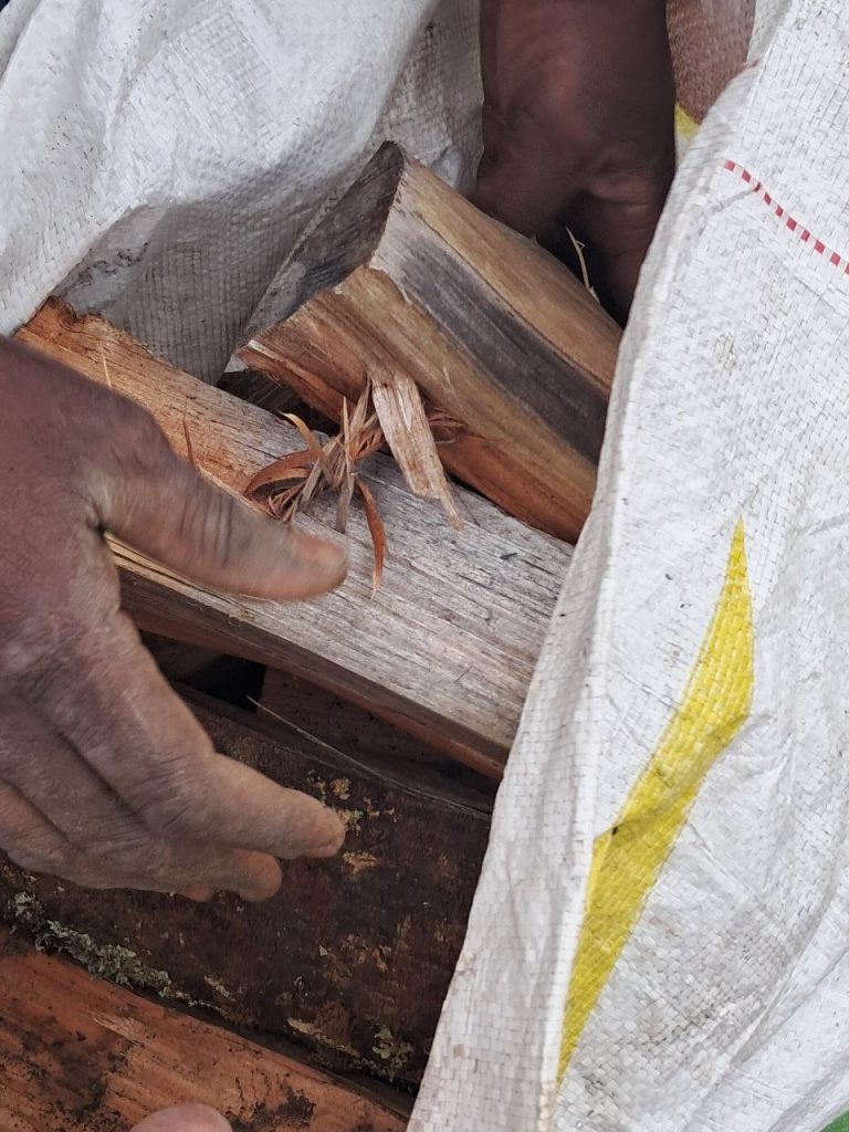 Unpacking a sack of dry black wattle braai wood delivered on the Garden Route